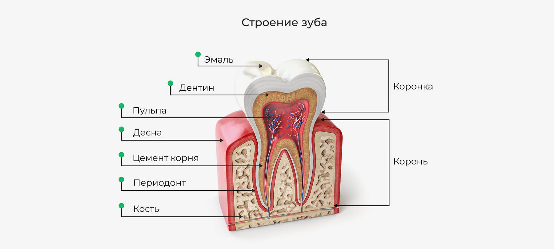 Что такое пульпит и как лечат заболевание? – TRK-dental